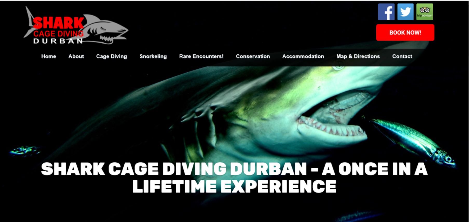 Shark Cage Diving Durban - www.sharkcagedivingdurban.com