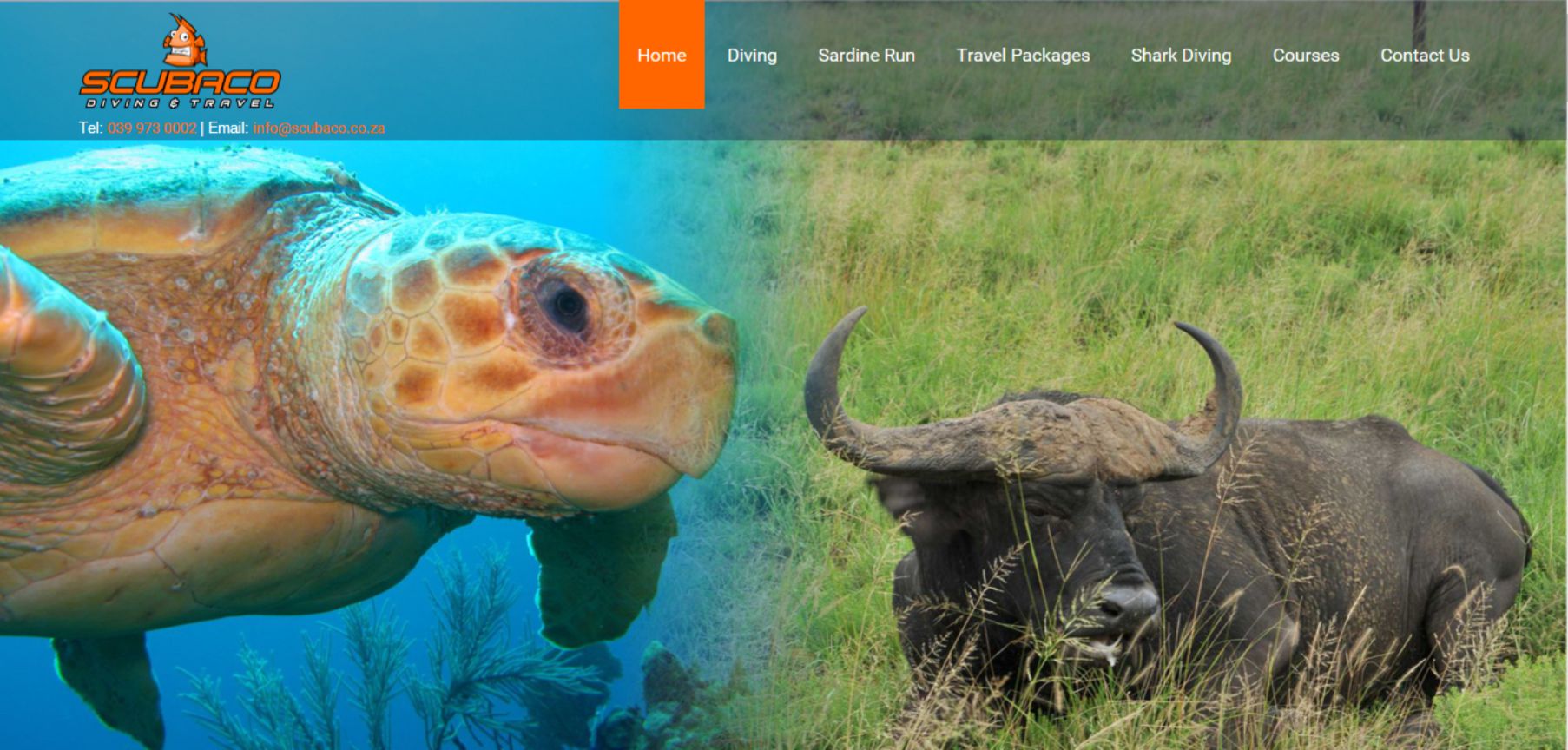 ScubaCo Diving & Travel Website - www.scubaco.co.za